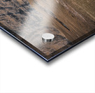 grazing sheep in the village si saksun in the faroe islands Acrylic print