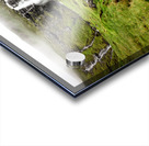 waterfall in faroe islands  Acrylic print