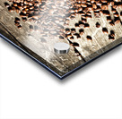 espresso and coffee grain Acrylic print