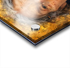 Eternal Gaze  Acrylic print