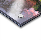 Tree in the green lake Acrylic print