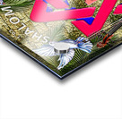 art shalom star of david AA Impression Acrylique