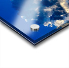 Lucent Acrylic print