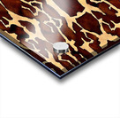 The Great Tiger II Acrylic print