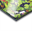 Unforgotten Paths Acrylic print