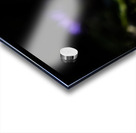  Y014438 Acrylic print