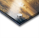 Belize Sunrise Acrylic print