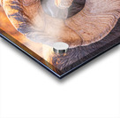 Big Horn Eye Acrylic print