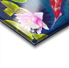 Carpe Koi Acrylic print