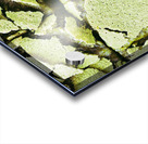 Matcha Lemon Bars Acrylic print