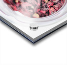 Dried Hibiscus Flower   Acrylic print