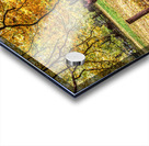 What are You Staring At Acrylic print