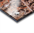 Rusty Iron Headboards Acrylic print