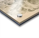 skulpture  Acrylic print