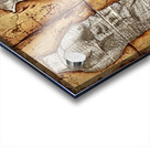 perfect couple Acrylic print