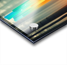 Glowing Forest 17 Acrylic print