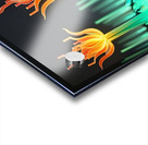 Glowing Forest 2 Acrylic print