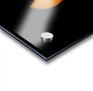 2017 Solar Eclipse Acrylic print