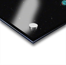 Owl  & Surfboard Acrylic print