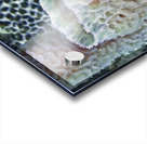 Filter Acrylic print