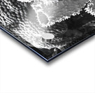 Warding Acrylic print