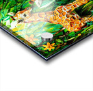 Giraffe Baby - Giraffe Centre Acrylic print