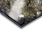 Better Acrylic print