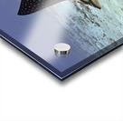 Daytime Acrylic print