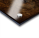 Eye of the Storm Acrylic print