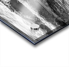 Sleepy Surf Acrylic print