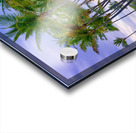 From the Ashes Acrylic print