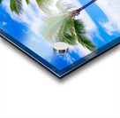 HualaLiars Acrylic print