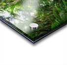 Now You Are Like Me Acrylic print