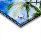 Palm Reader Acrylic print