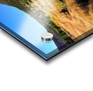 Lake Tahoe Desert Grass Marsh Acrylic print