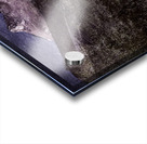 Eastern Sierra Ranch Gate Acrylic print