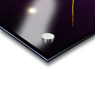 Old Sierra Malthusia Tree Acrylic print