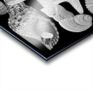 Treasures of the Deep in Black and White Acrylic print