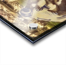 Jim Brown Cleveland Browns Viewfinder Art Acrylic print