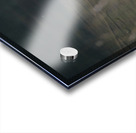 JCC 0146 2208 Acrylic print