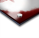 Glow of a Champion Acrylic print