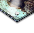 Conch Acrylic print
