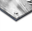 The Leader Dakota C-47 In Mono Acrylic print