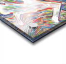 rainbow jump Acrylic print