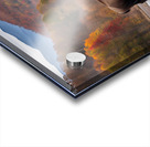 Blue Ridge Bison Creek Heaven Acrylic print