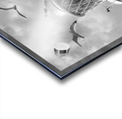 Fly Past - Seagulls Round Southwold Lighthouse Black and White Acrylic print