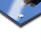 Were a pair Acrylic print