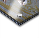 Acrobatics Acrylic print