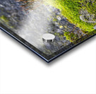 Ancient Wall With Moss Acrylic print