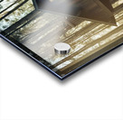 Forest Acrylic print